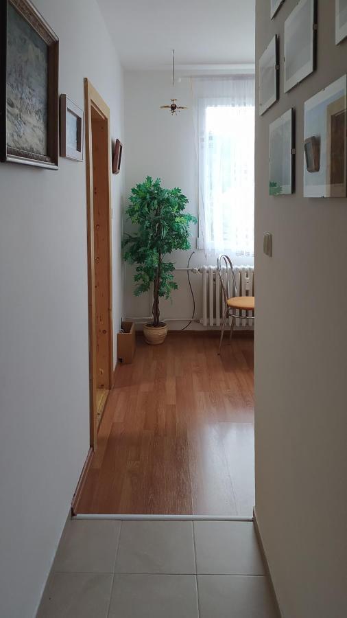 Apartman V Srni Bagian luar foto