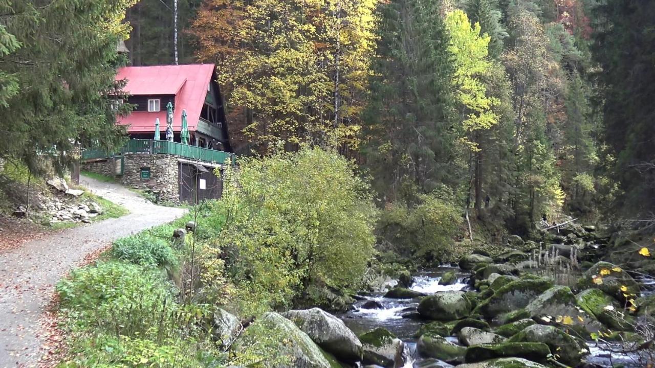 Apartman V Srni Bagian luar foto